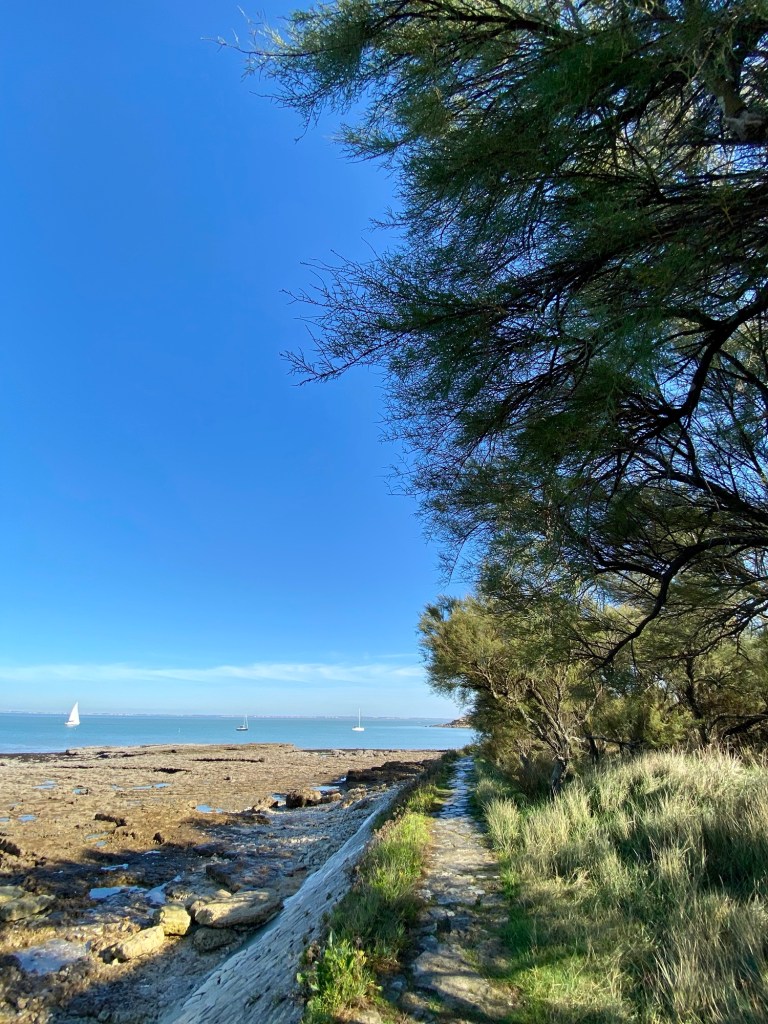 passage vers la grande plage