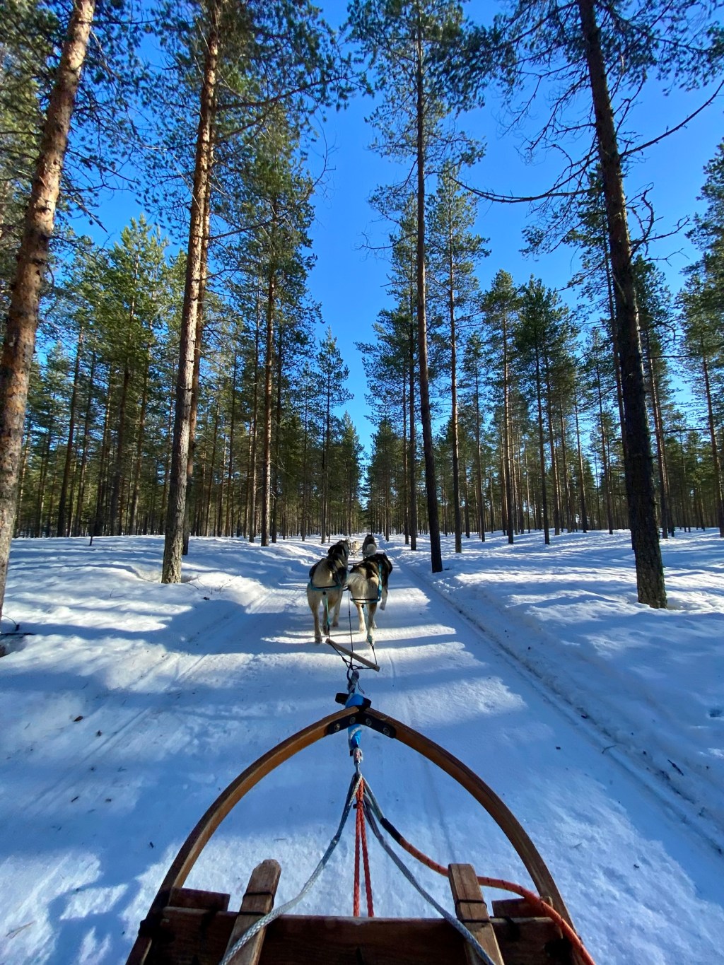 Explorer la Laponie : un voyage&nbsp;inoubliable